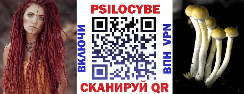 Галлюциногенные грибы Psilocybine cubensis  Высоцк 